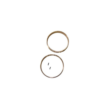 Zestaw pierścienia bieżnego GRUNDFOS BZ HS350-250-498