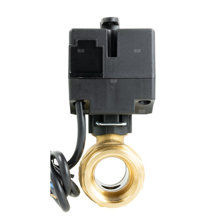 Zawór wodny AFRISO BEV 230 V AC GW 1'' x GW 1''