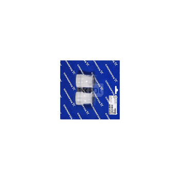 Zawór zwrotny PVC/V/G DN20 BULK 2szt.