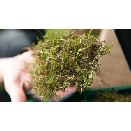 Aerator UniversalRake 900