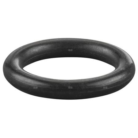Oring - pierścień uszczelniający REMS