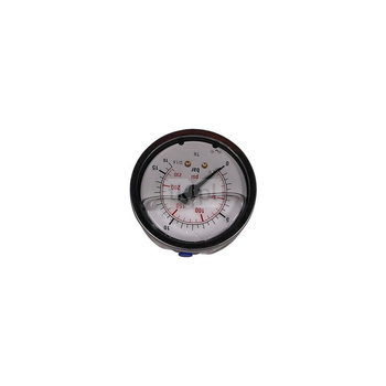 Manometr 0-10 Bar R1/4"