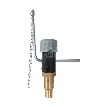 Miarkownik ciągu FR 1, zakres regulacji 30÷90'C, G3/4''