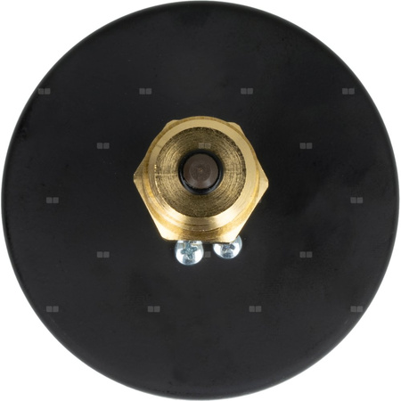Manometr AFRISO TM aksjalne 1/4'' fi 80 mm, 0 - 10 bar, 20 - 120'C