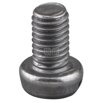 Śruba z łbem walcowym