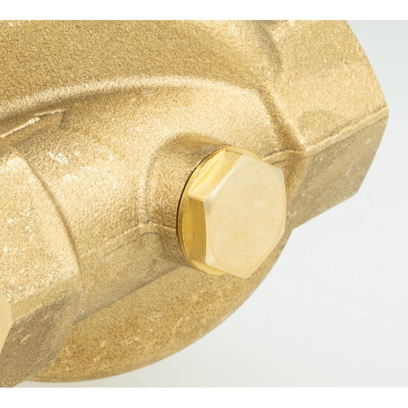 Filtr do wody AWF 120 z płukaniem ręcznym, GW G3/4''