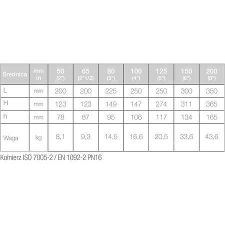 Wodomierz jednostrumieniowy suchobieżny przemysłowy, typu WDE-K50 DN 125 Q3=160 m3/h R250/160, Tmax: 50st.C, L=250 mm