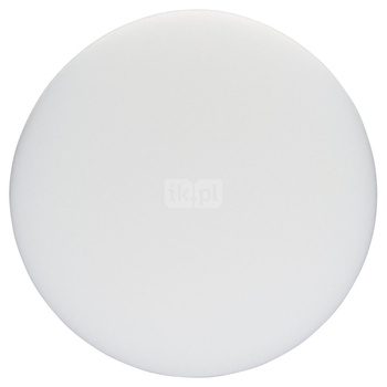 GĄBKA POLERSKA D160