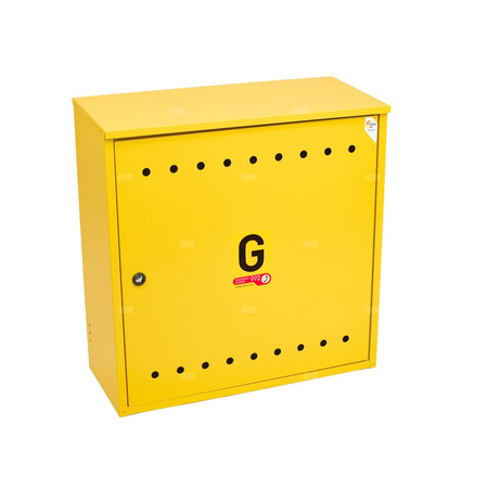 Skrzynka gazowa, 600x600x250, naścienna, metalowa, ze skośnym daszkiem - brązowa