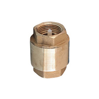 Zawór zwrotny EFAR 3121 1/2'' GW