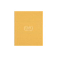 PAPIER EXPERT EXC470,100,230X280, 50X