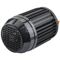 Silnik Tornado/Magnum xx10