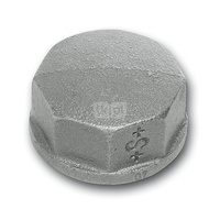 Zaślepka SANHA 300#, żeliwo (Ocynk galwaniczny/elektrolityczny) 3/8''