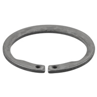 Pierścień zabezpieczający REMS