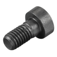 Śruba z łbem walcowym