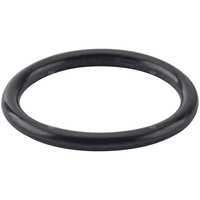 Oring - pierścień uszczelniający REMS