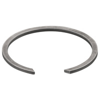 Pierścień rozprężny REMS