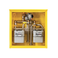 Punkt redukcyjno-pomiarowy na 2 gazomierze G4, w skrzynce metalowej 600x600x250 - brązowy