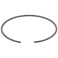 Pierścień rozprężny REMS