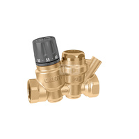 Termostatyczny zawór do cyrkulacji c.w.u. 1 1/4"