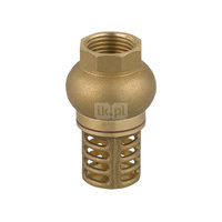 Zawór zwrotny FERRO z mosiężnym koszem ssącym 5/4'' GW PN 10 max. 100'C