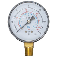 Manometr, 60 bar