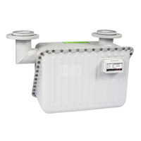 Gazomierz miechowy G 40 WEBA Itron, rozstaw 510 mm z nadajnikiem impulsów