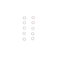 Zestaw oringów GRUNDFOS CRT 8/16 FFKM