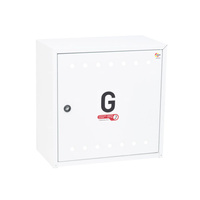 Skrzynka gazowa 450x450x250 naścienna, stalowa, z płaskim daszkiem, RAL 9003 biała (na gazomierz G4/G6 bez reduktora)