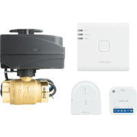 SALUS zestaw przeciwzalaniowy - system bezprzewodowej detekcji wycieku: UG800,  SR600, WLS600, BEV 213