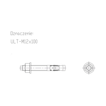 Kotwa uniwersalna ULT 12X100mm